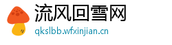 流风回雪网